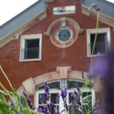 Hotel One Shot Palacio Cedofeita Oporto