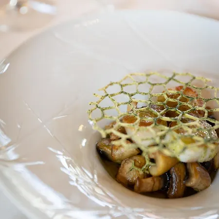 Отель One Shot Palacio Cedofeita Порту