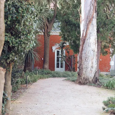One Shot Palacio Cedofeita 5* Porto