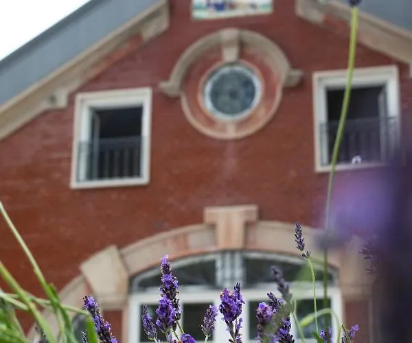 Hotell One Shot Palacio Cedofeita Oporto